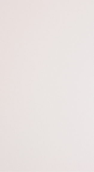 BELUGA WHITE 3L