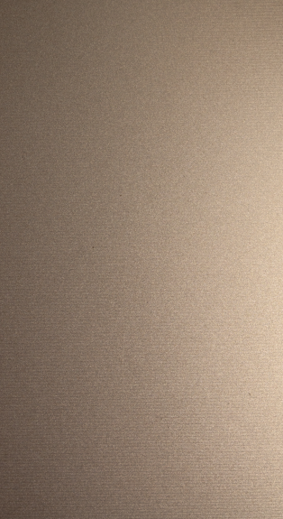 SILVER BRONZE 3L