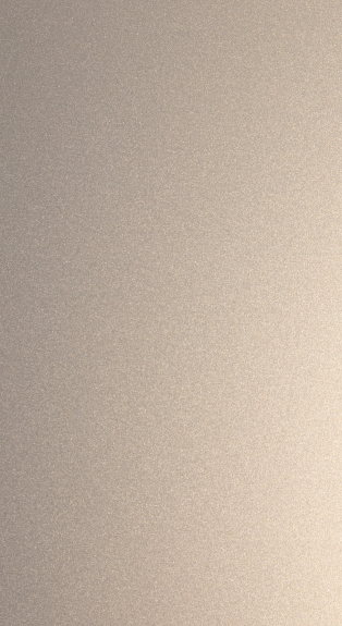SILVER GOLD 3L