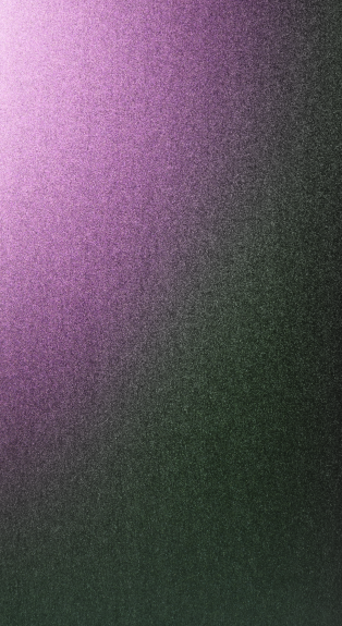 VIOLA FANTASY 3L