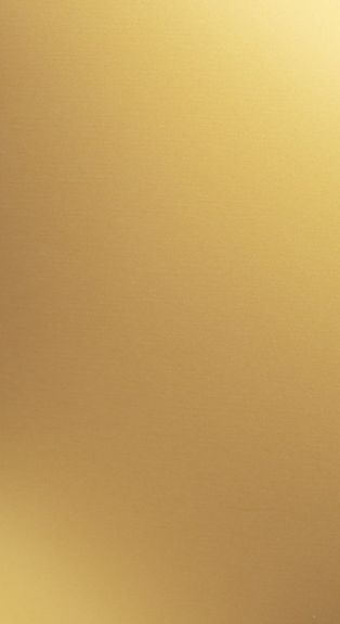 GOLD 3L