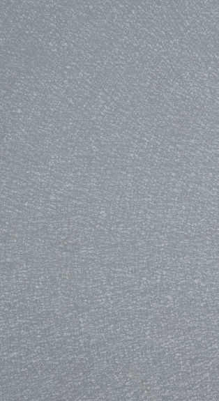 SQUIRREL GREY