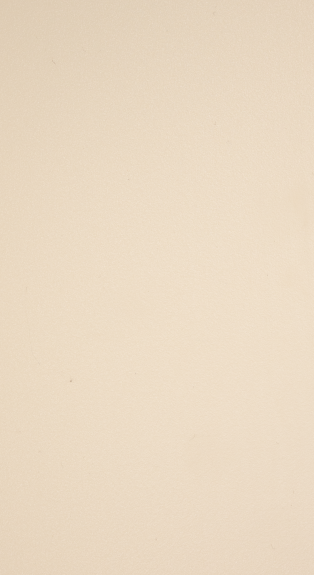 LIGHT IVORY