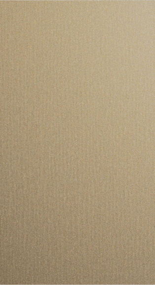 OLYMPIC GOLD MEDIUM