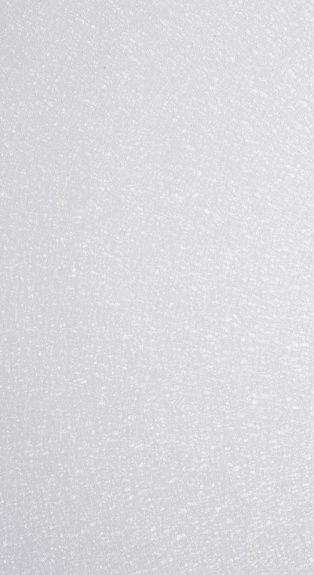 FROSTING ICE 2L
