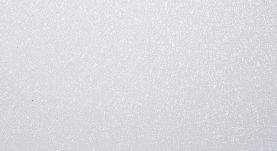 FROSTING ICE 2L