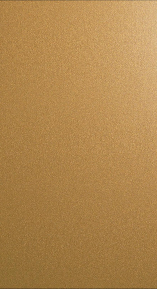 CLASSIC BRONZE