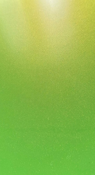 YELLOW GREEN 3L