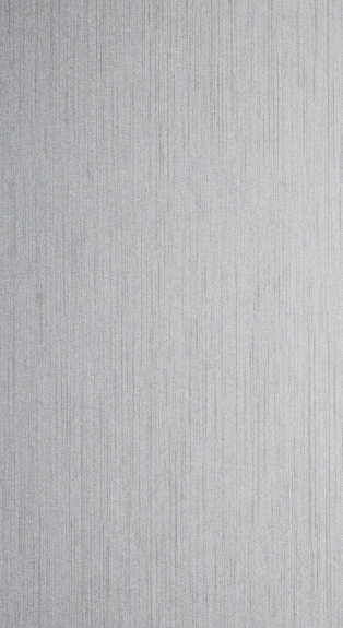 SILVER ONE